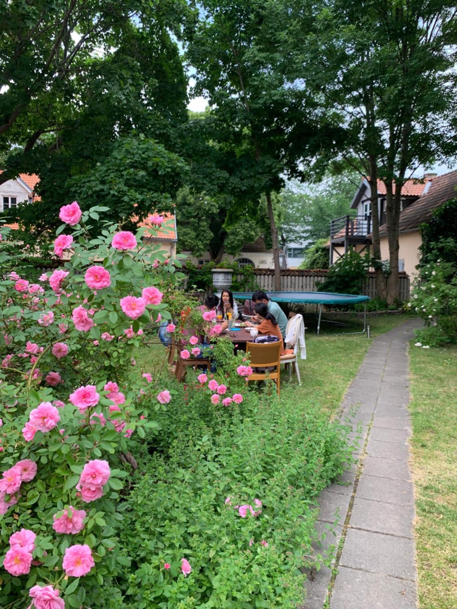 Suviste Guesthouse 쿠레사아레 외부 사진
